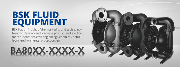 BA80XX-XXXX-X
